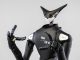 A New Perspective on Robots and How They Will Shape Humanity
