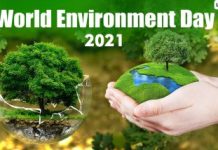 World Environment Day 2021: How your phone and tablet is benefiting the environment?